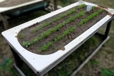 Как создать «ленивую» грядку с автополивом из старой ванны: удобство для дачников