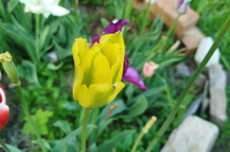 ���-16 ������������� ������ ��� ������ ����: �������� �� ������� �� ����