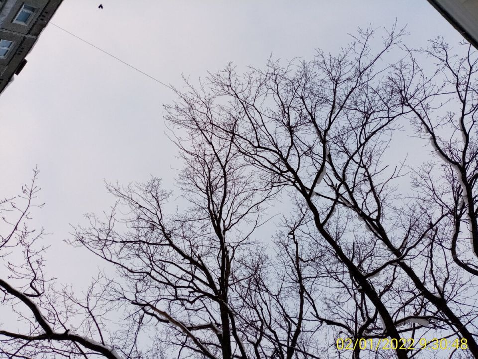 �������� ������� � ������: ��������� ������������ �� ����� ���