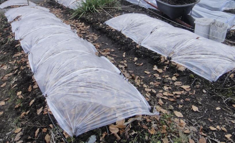 ��� ��������� ������ �������: ������ �� ������ �� �������