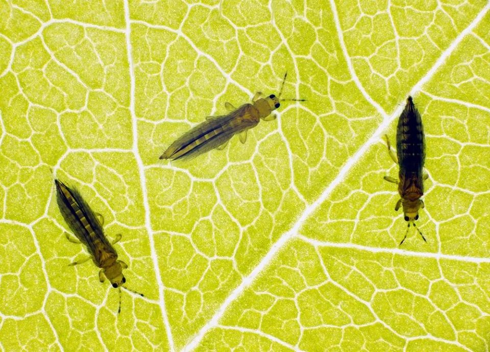 ������: ��������� ������ ��� ����� �������� � ��� � ���� ����������