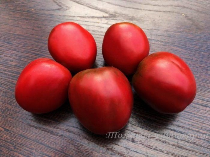 ����� �������� ������: ��������� ����� ��� �������� �������