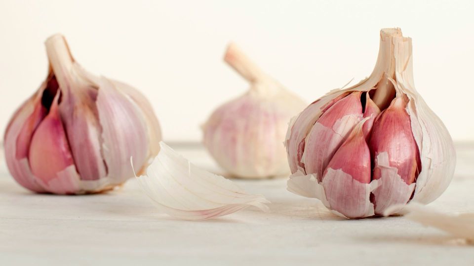 �������� ������ ���� ��������� ���������: ������������ ����� ������� �� ��� 100%