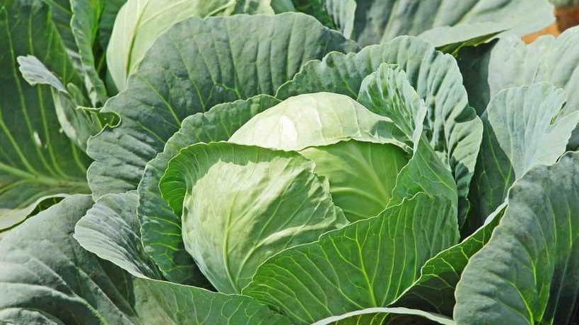 ��� ������� ��������� ��� ��������: ������� ��������� ��������� � ����