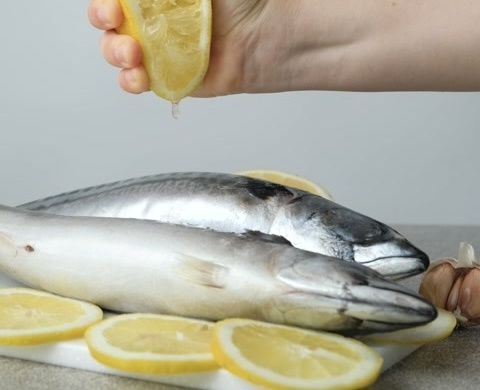 ������ ����� ������ ���� �������: ������� ������ �� ������������ ���������