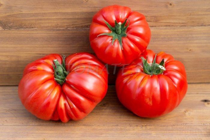 �������� �� �����: ��������� ���� ������� ����������� ����� ������