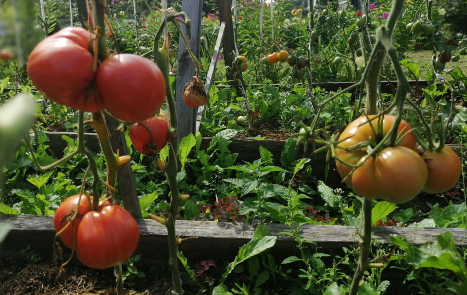 ������ ��� �������: ������ 2026 ���� � �������� ��������