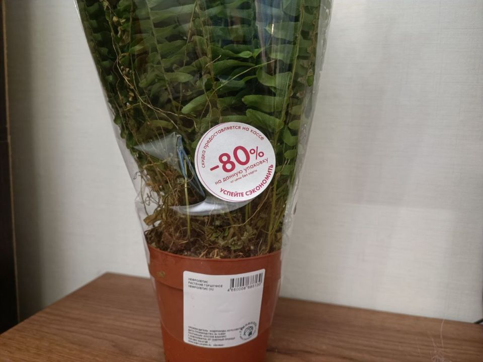 ��� ������ ��������� �����: ������ ����������� ��� ��������� � ��������������