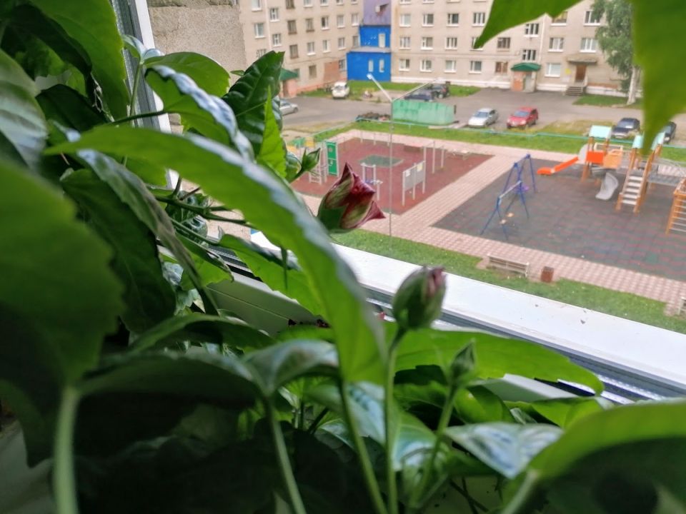 �������� �������: ��� ��������� �������� ��������� ��� ������