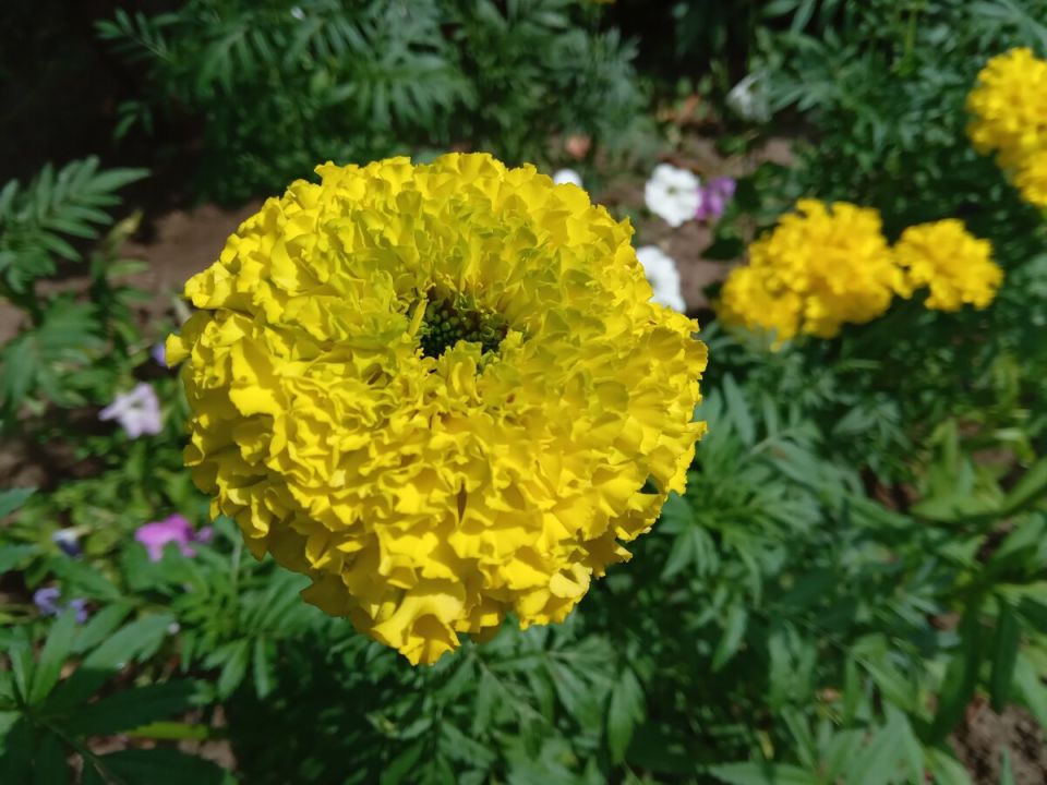 ����� ������: �������� '�������� ������' � ����� ����