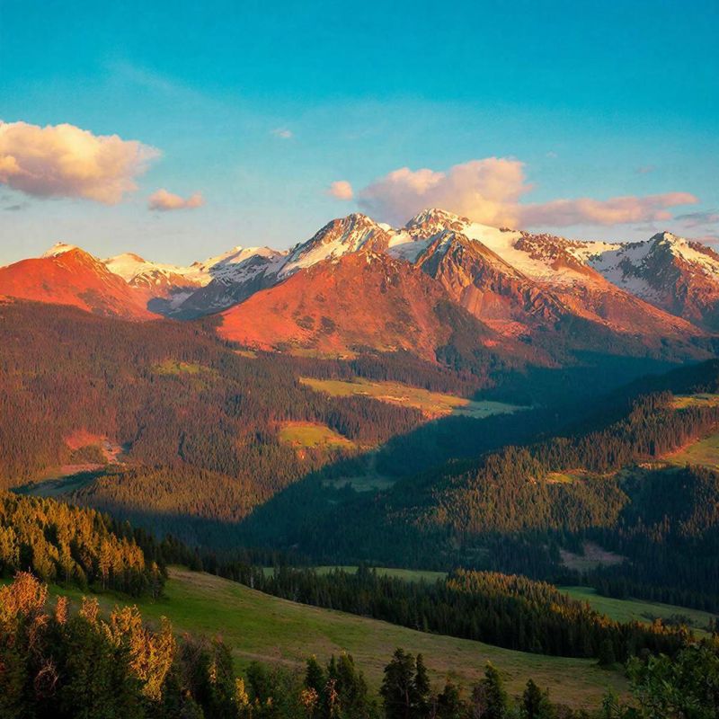 ����� ����� � ������� � ��������������� ������������� ����� � ������ ������������