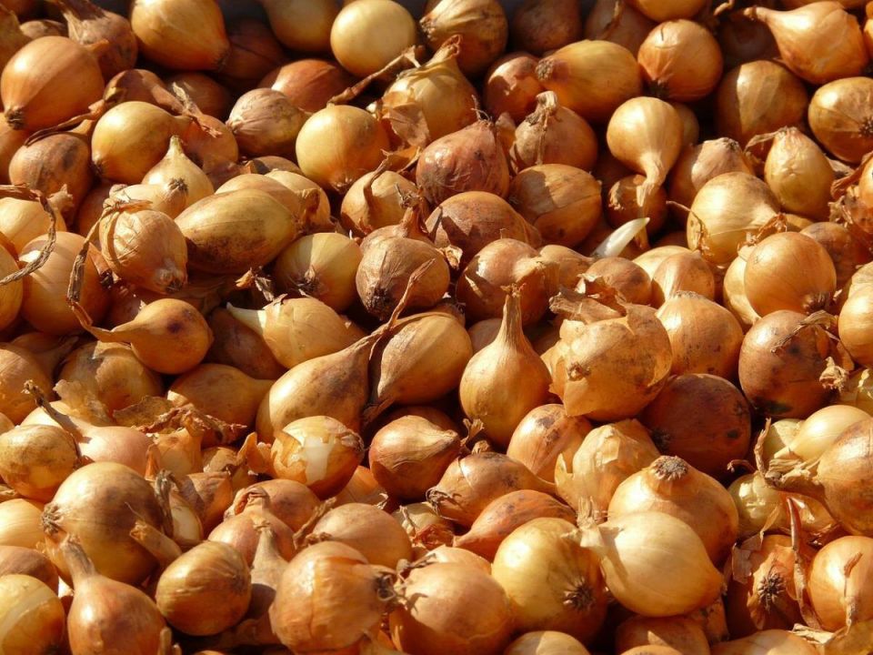 ��� ��������: ������� ���� � ��������� ������ ��rede��� �������