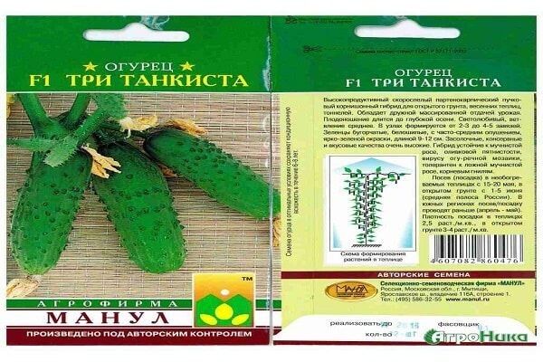 ������ ������ ���� �������� ������� ��������: ������� ������ � ������� �����