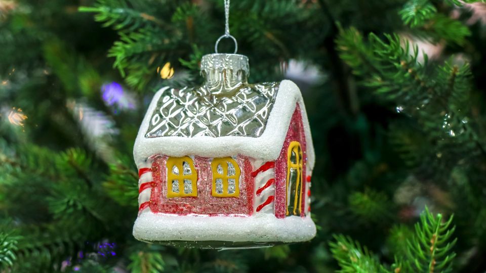 �������� ����� �� ������: � ���� ������� �������� ������ ������� ����