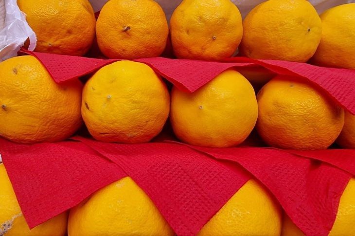 ����� ������� ������ ����� � ������������ ������ ���: �� ������ � �� �����