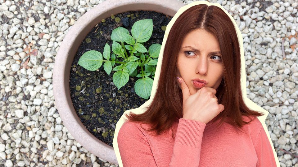 ������ �� ������ ���������� ������: ��� ��� ����� ���������� ������ ����� �� �����