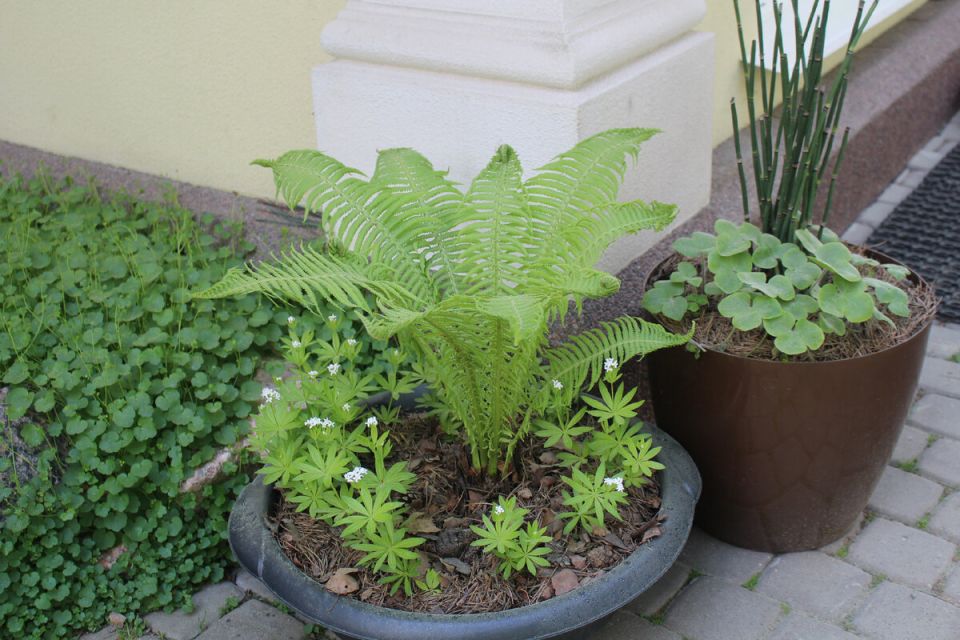 ������������ ��������: ��� �������� ������ � ������� ������ ������� ��� ������ ����