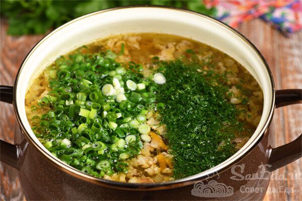 ������������ ������� �����, ������� ����� �����������