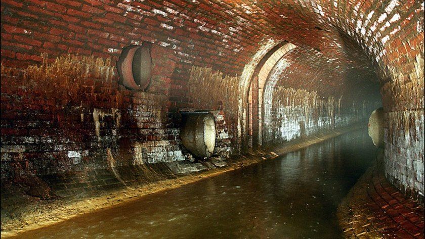 ������ �����������: ����� �������� �� ������� ������