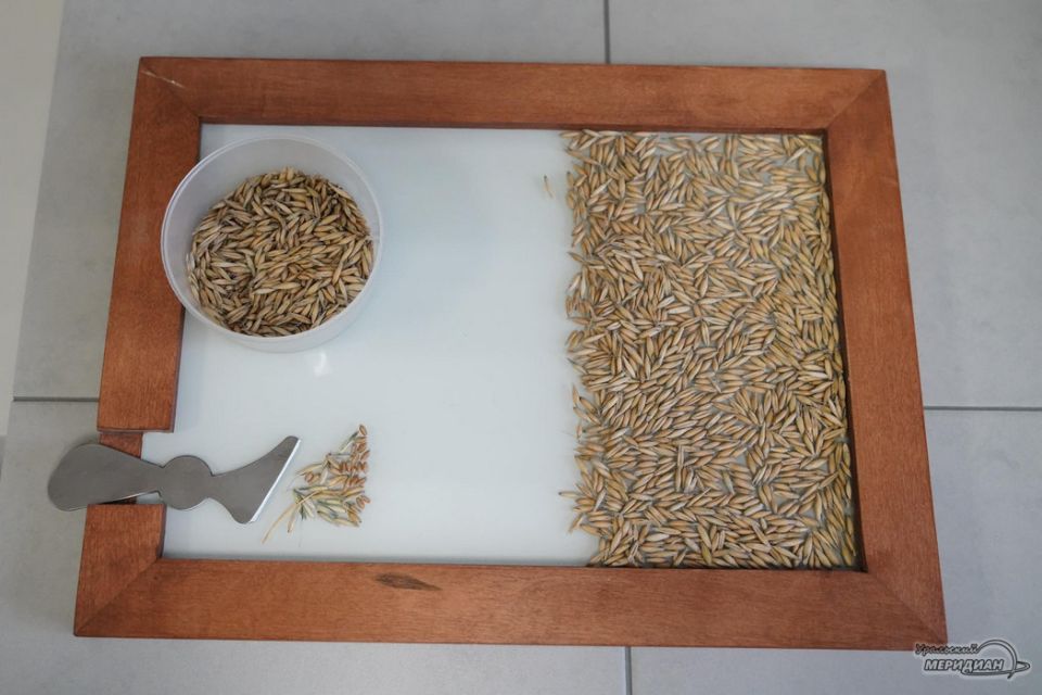 �� ������� ���� �������� 66 ���� ������������ ��������� ������