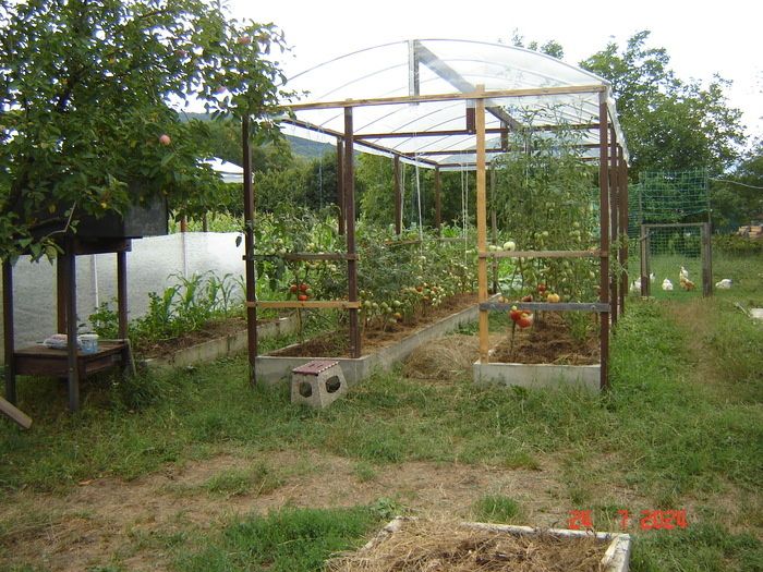 ��� ��������� ���������� ����� ��� ��������: ������� � ������