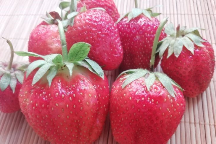 ��� ����������� ��������, ����� ��� �������� ������: ������� ������