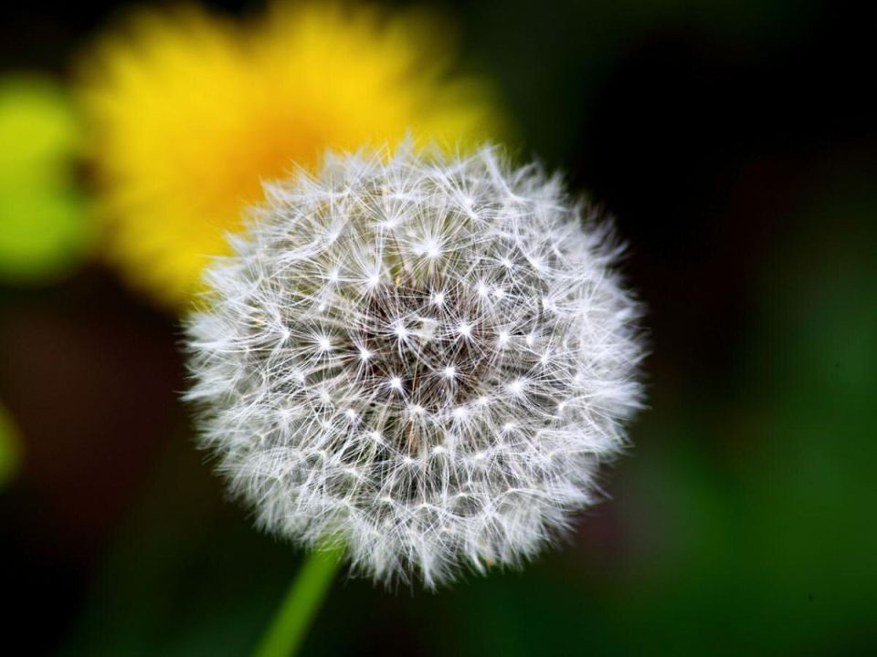 ����������: ����������� �������� � ������ � ����������� ������ ����