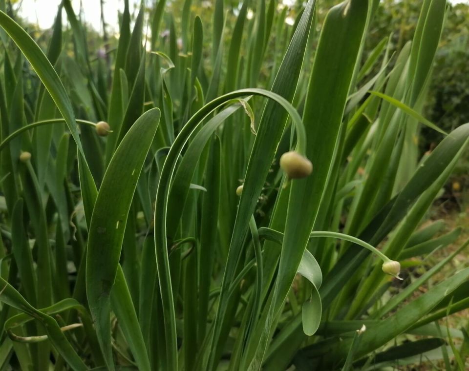 ��� ������: �� ������ �������� ��������, � �������� �������� � ��������