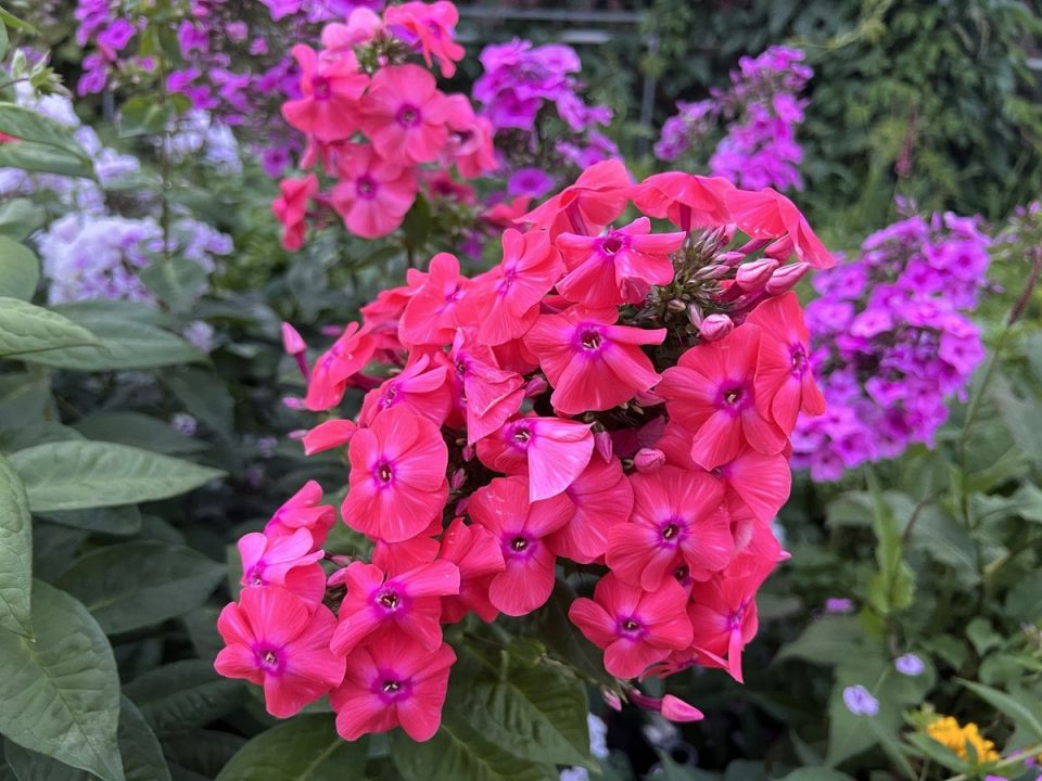 ��� ���������� � ��������� ����� �� ���������� ��������: ������ �� ������ � ��������