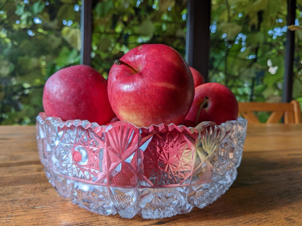 �������, ������� �����������: ��� ���� ������� ������� ������ ����� ������