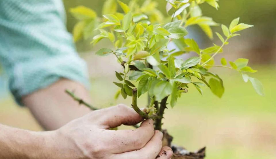 ��� ��������� ��� � ���� � �� ��������� �� �������: �������� �� ���������� �������?