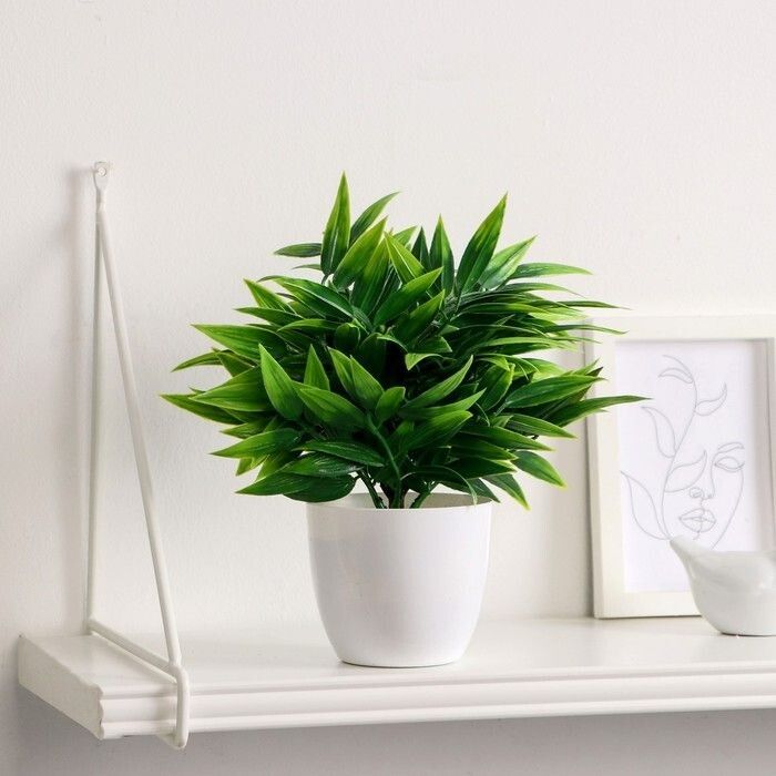 ��� ������� ���� ����� ����� ����������: 7 ������� ���������