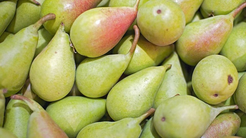 ����������� �����: ����� ����� ��� ��������� � �����������