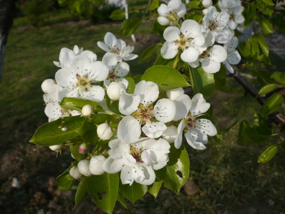 Какой будет погода в мае: народные приметы и прогнозы