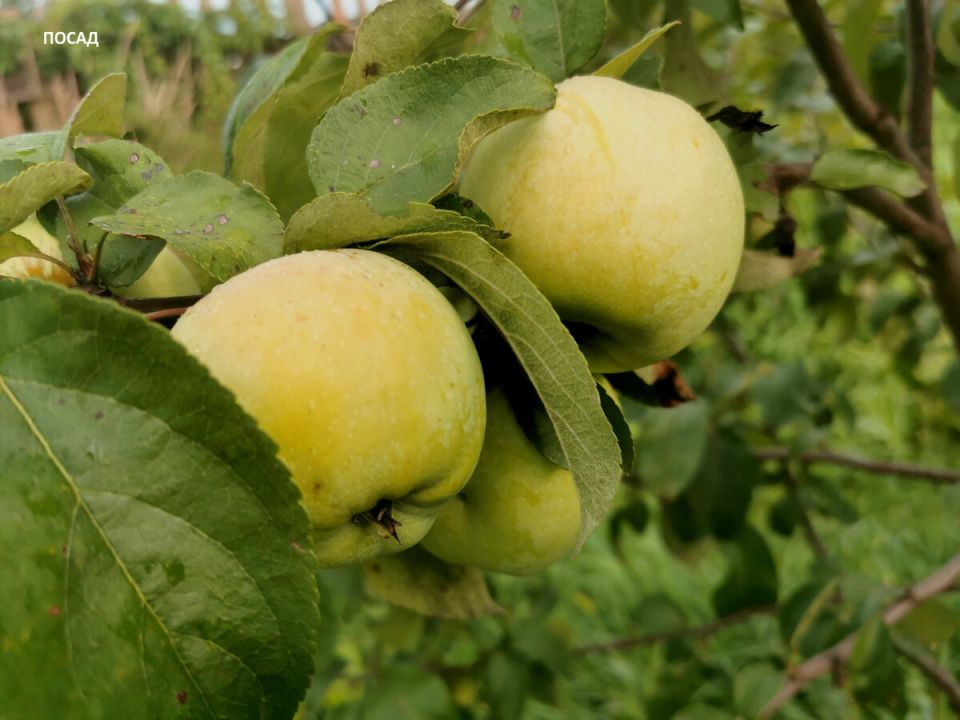 ������������� ������: ��� ������ ����� ��� ������ ����