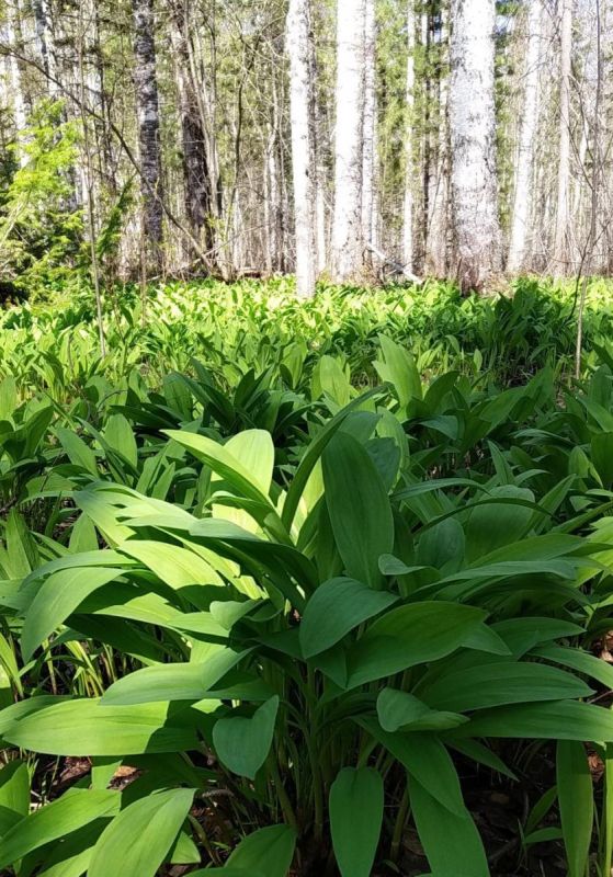 �������: ���������� �������� � ������� ������ � �������