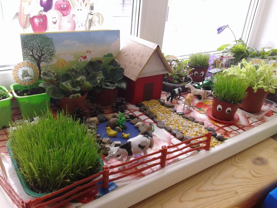 Как создать идеальный огород на подоконнике: советы для начинающих