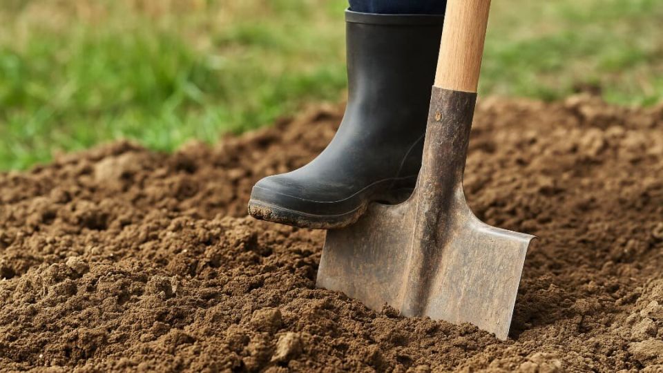 Сентябрьские итоги: что нас ждёт на огороде в новом сезоне