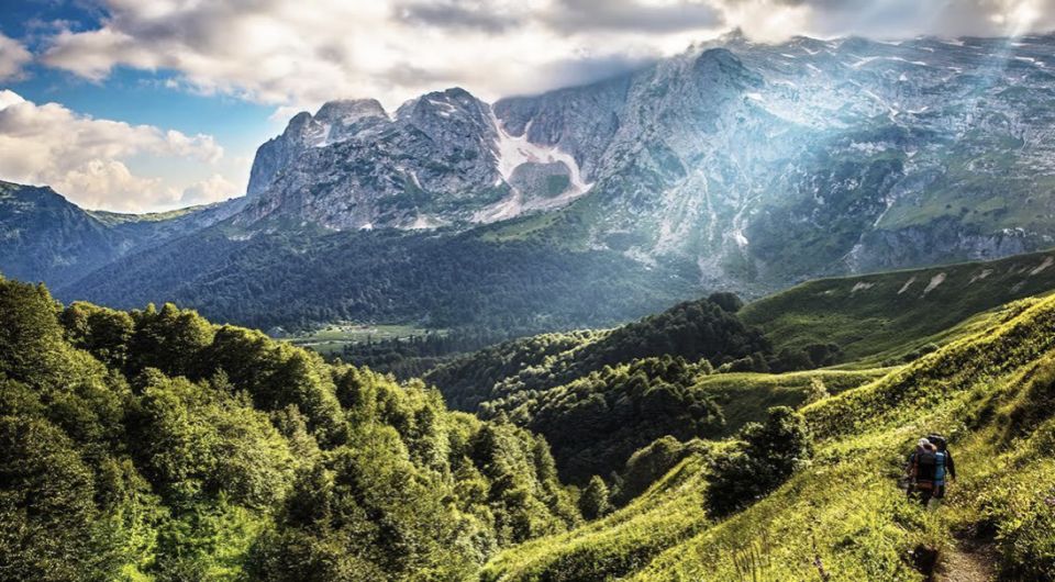 ��������: ���������� ������ � �������������� ��������, ������� ������ ����������