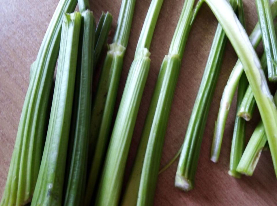 Успех первых шагов: как вырастить сельдерей на даче